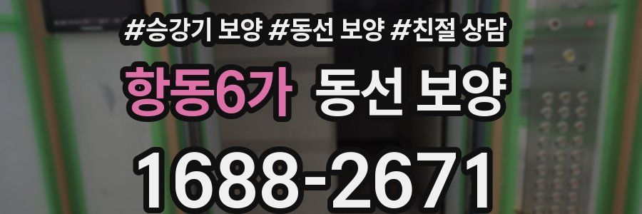 항동6가 동선 보양