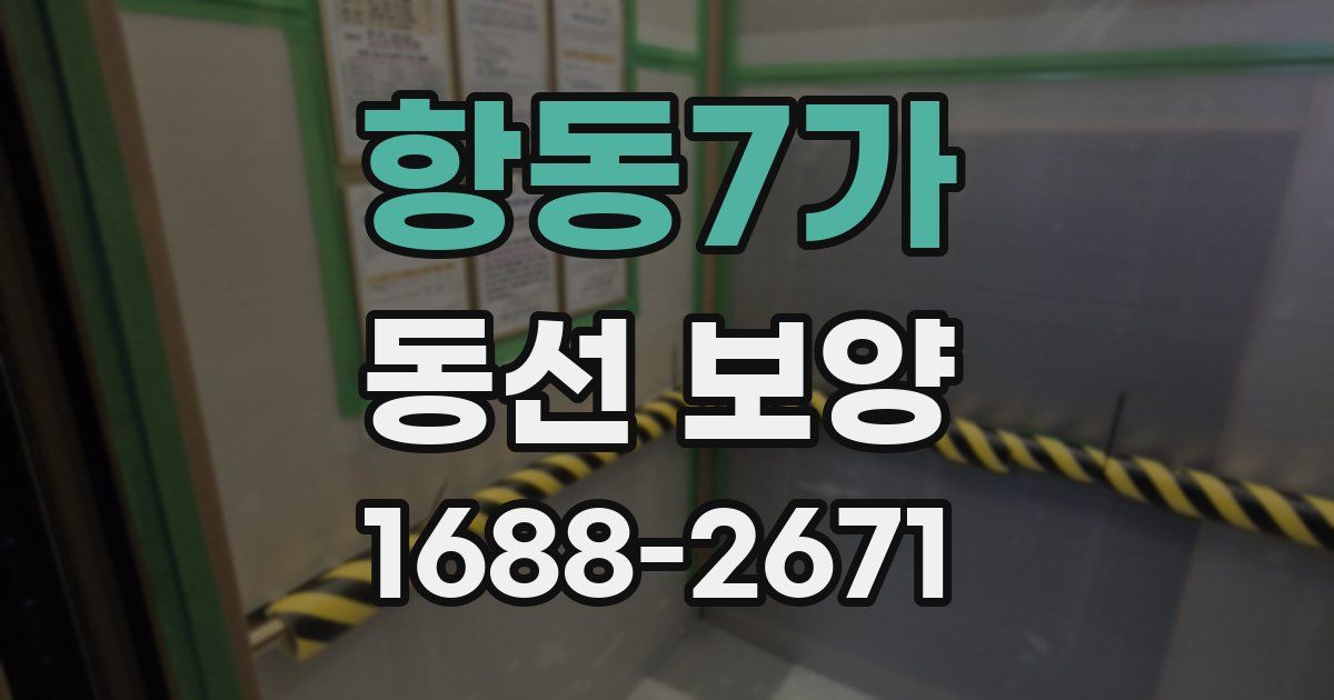 항동7가 동선 보양
