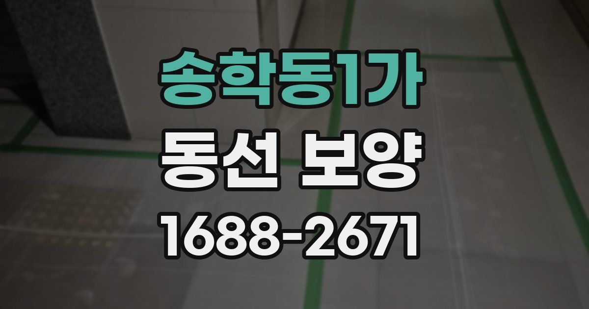 송학동1가 동선 보양