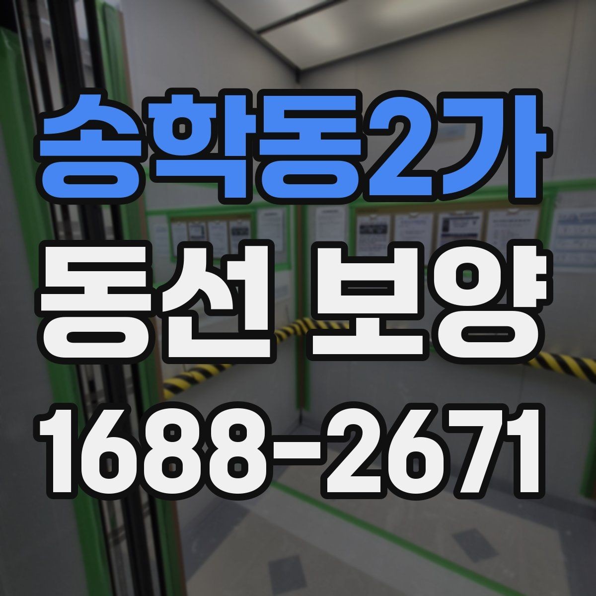 송학동2가 동선 보양 시 주의해야 할 안전과 동선 관리