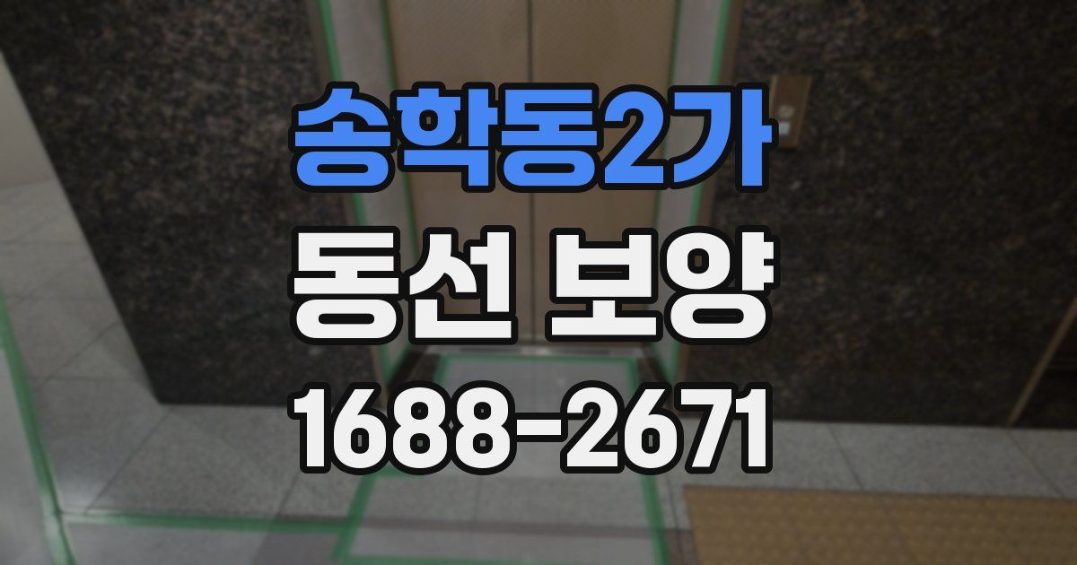 송학동2가 동선 보양