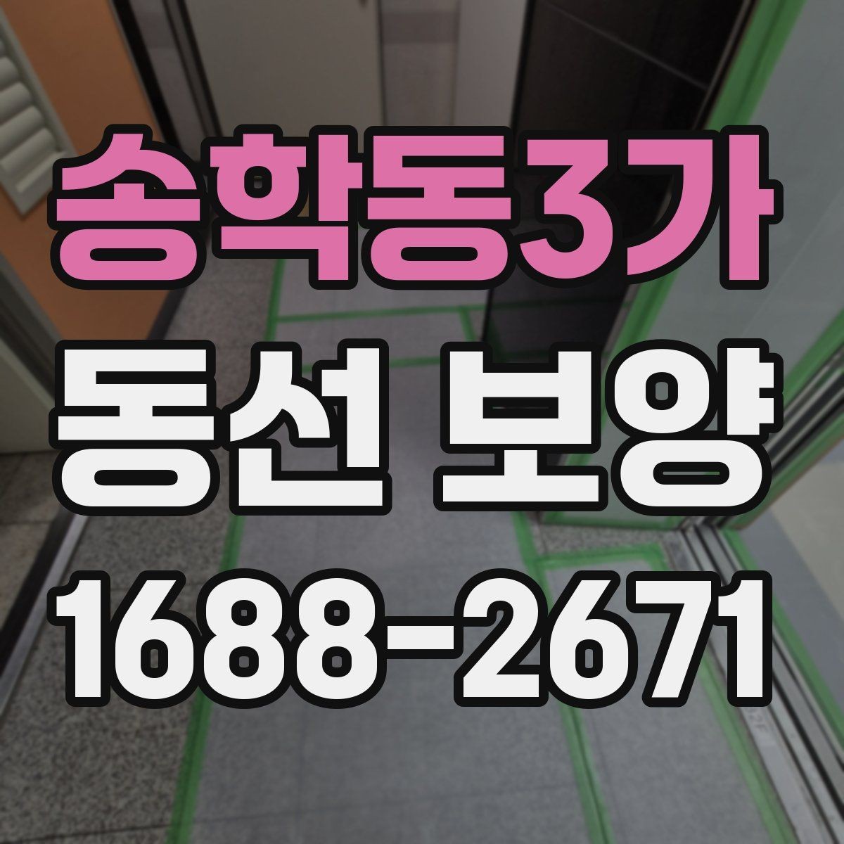 송학동3가 동선 보양 비교 시 살펴봐야 할 차이점