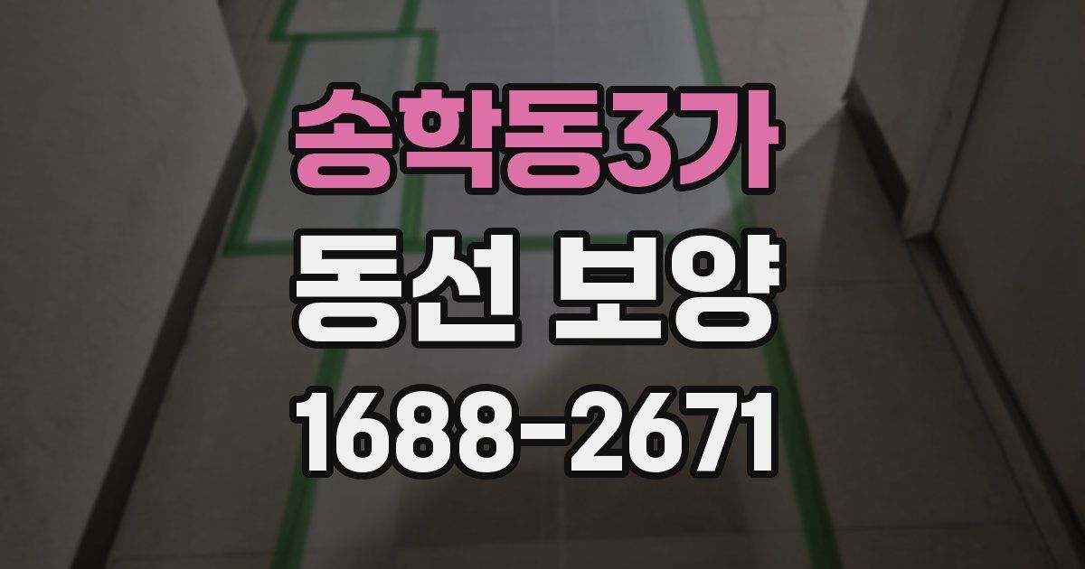 송학동3가 동선 보양