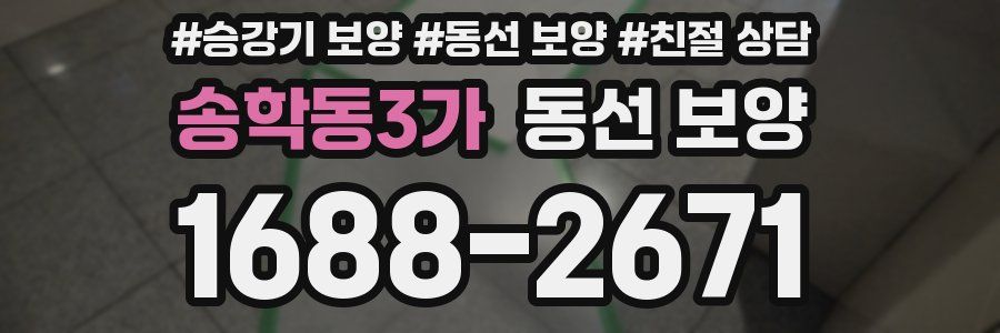 송학동3가 동선 보양