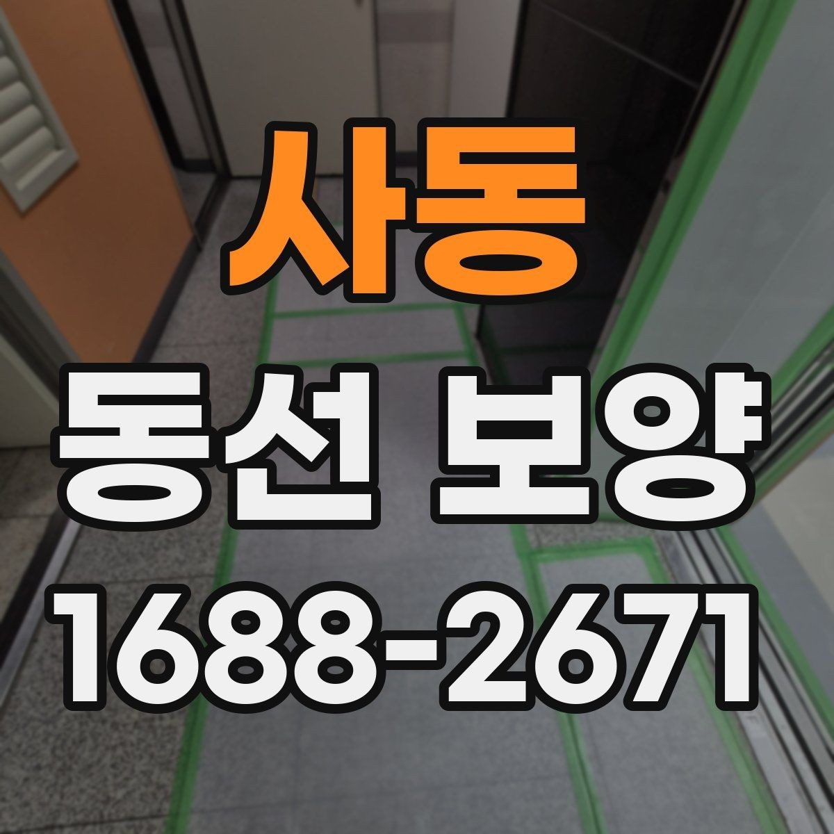 사동 동선 보양 시공을 맡기기 전 비교 포인트