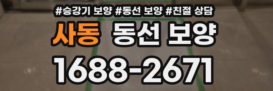 사동 동선 보양