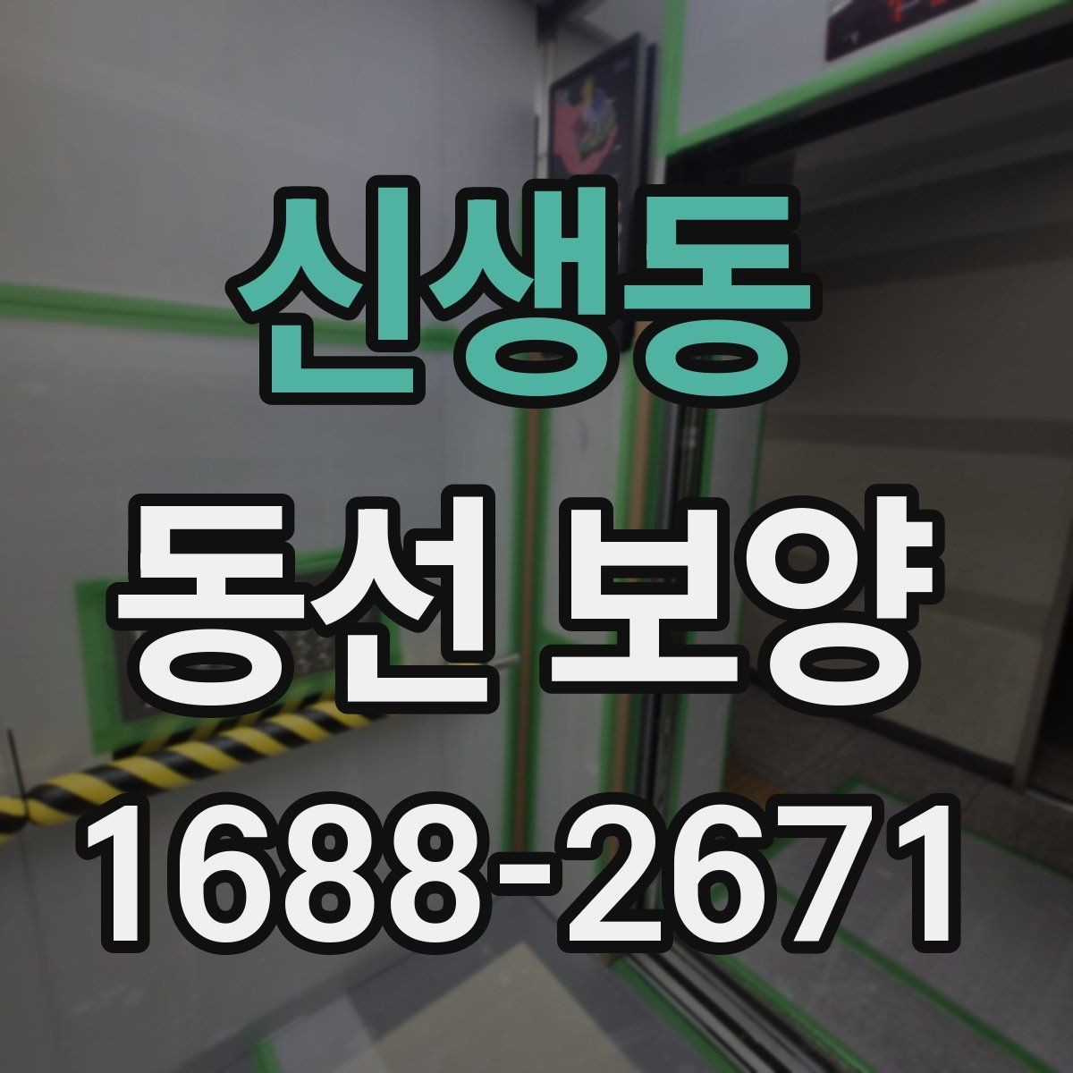 신생동 동선 보양 비용을 줄이기 위한 선택 기준