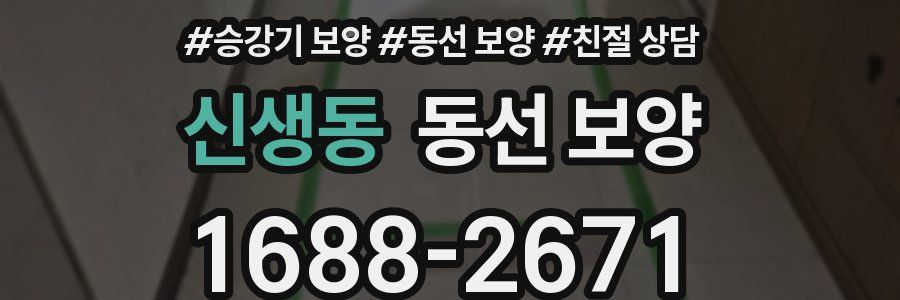 신생동 동선 보양