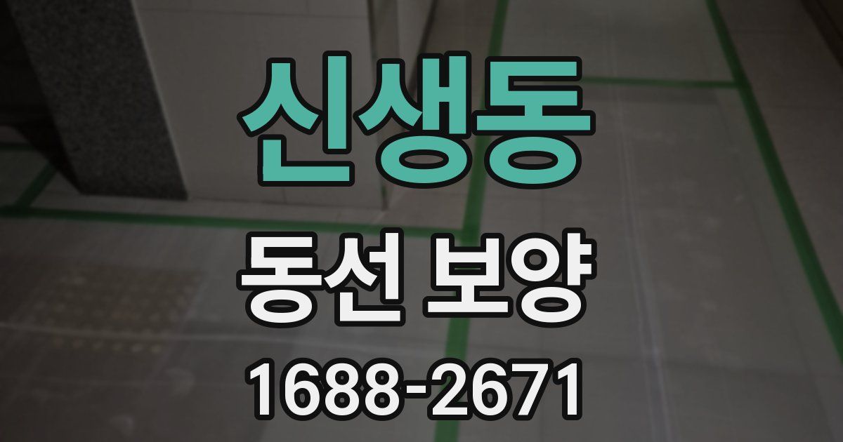 신생동 동선 보양