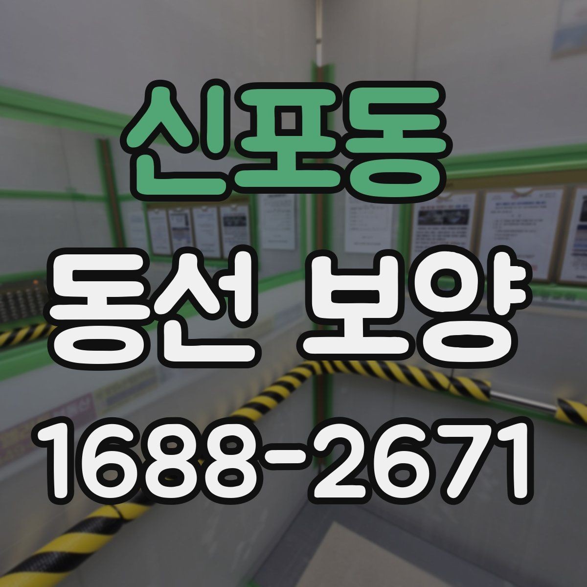 신포동 동선 보양 현장 적용 사례와 작업 노하우