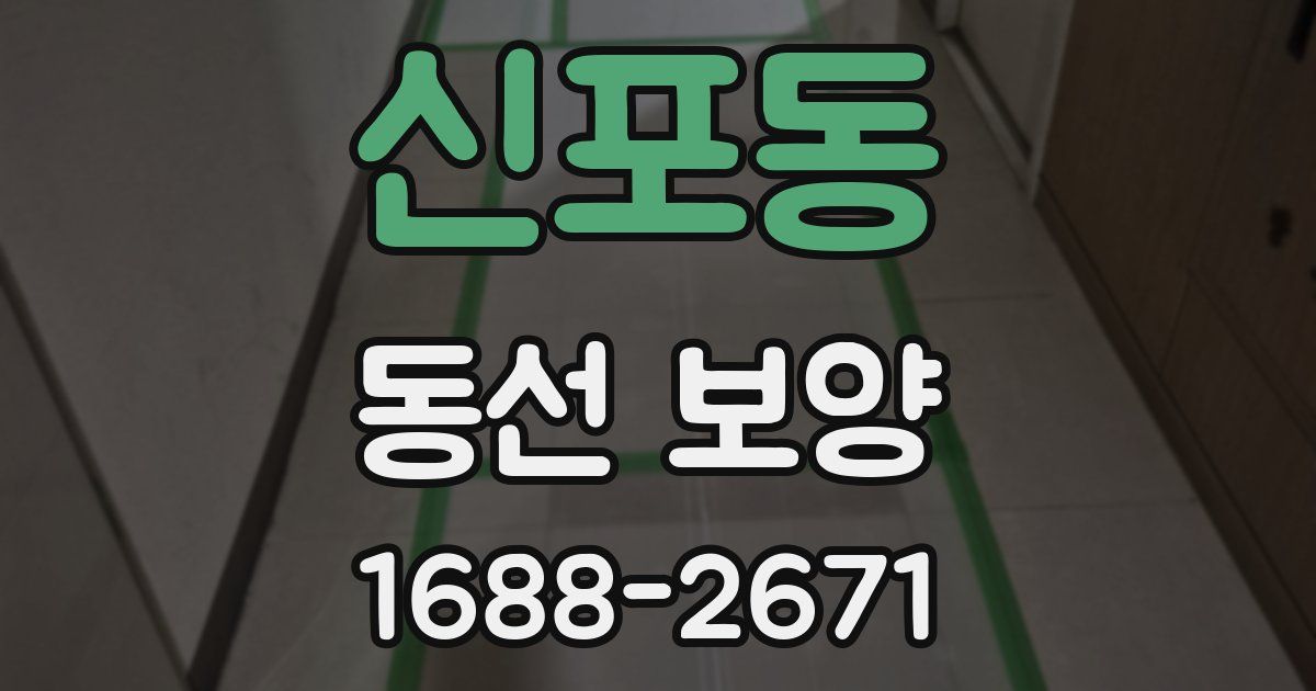 신포동 동선 보양