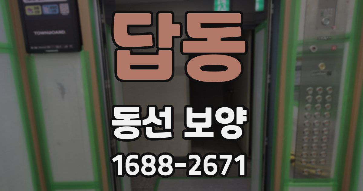 답동 동선 보양
