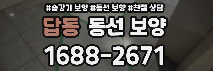 답동 동선 보양