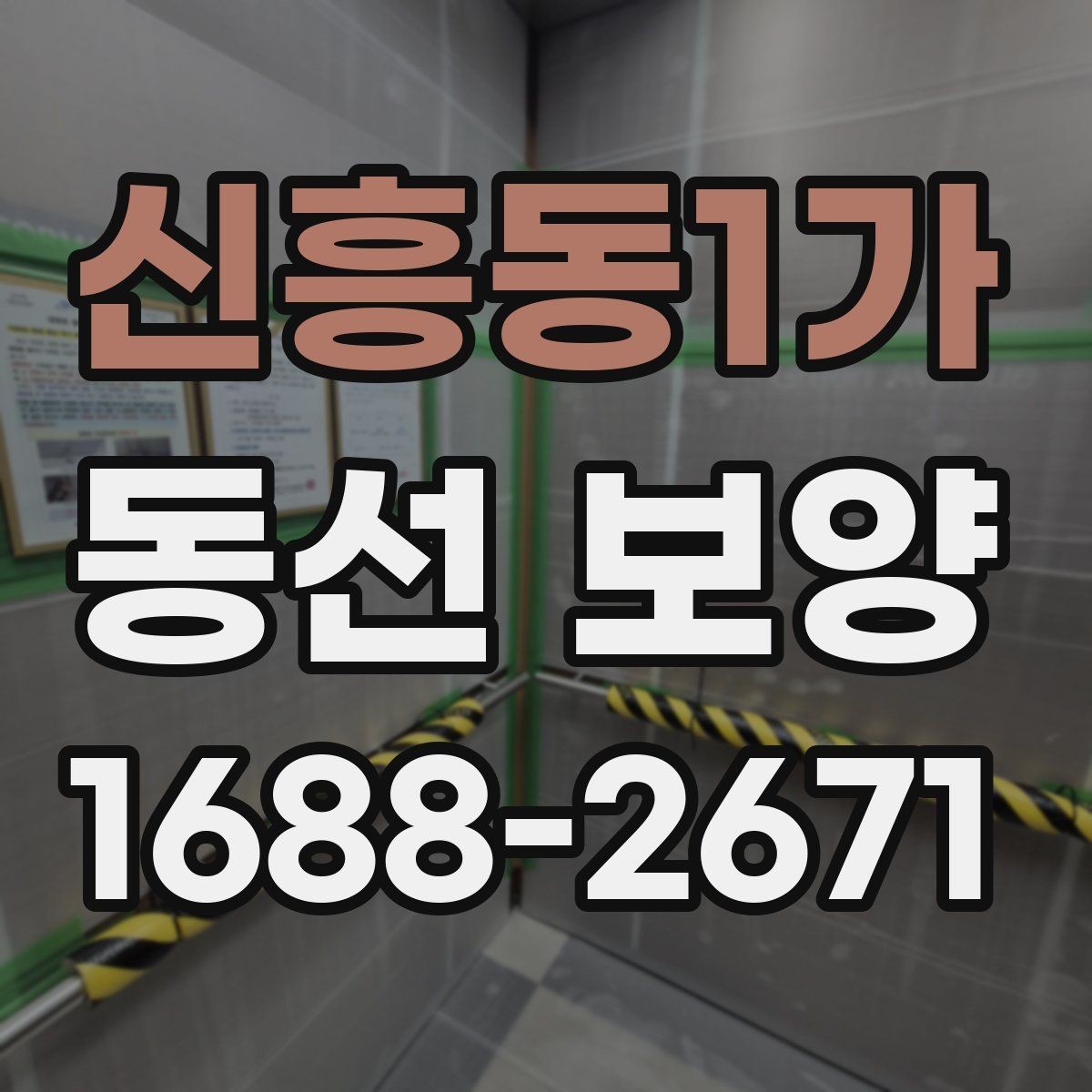 신흥동1가 동선 보양 업체를 고를 때 살펴볼 기준
