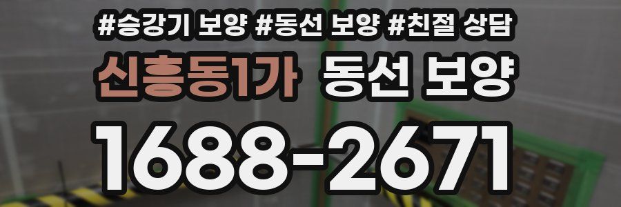 신흥동1가 동선 보양