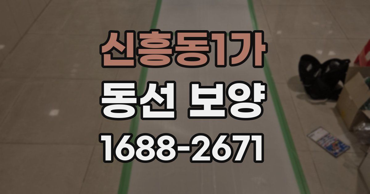 신흥동1가 동선 보양