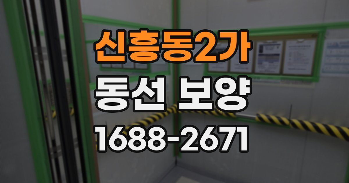 신흥동2가 동선 보양
