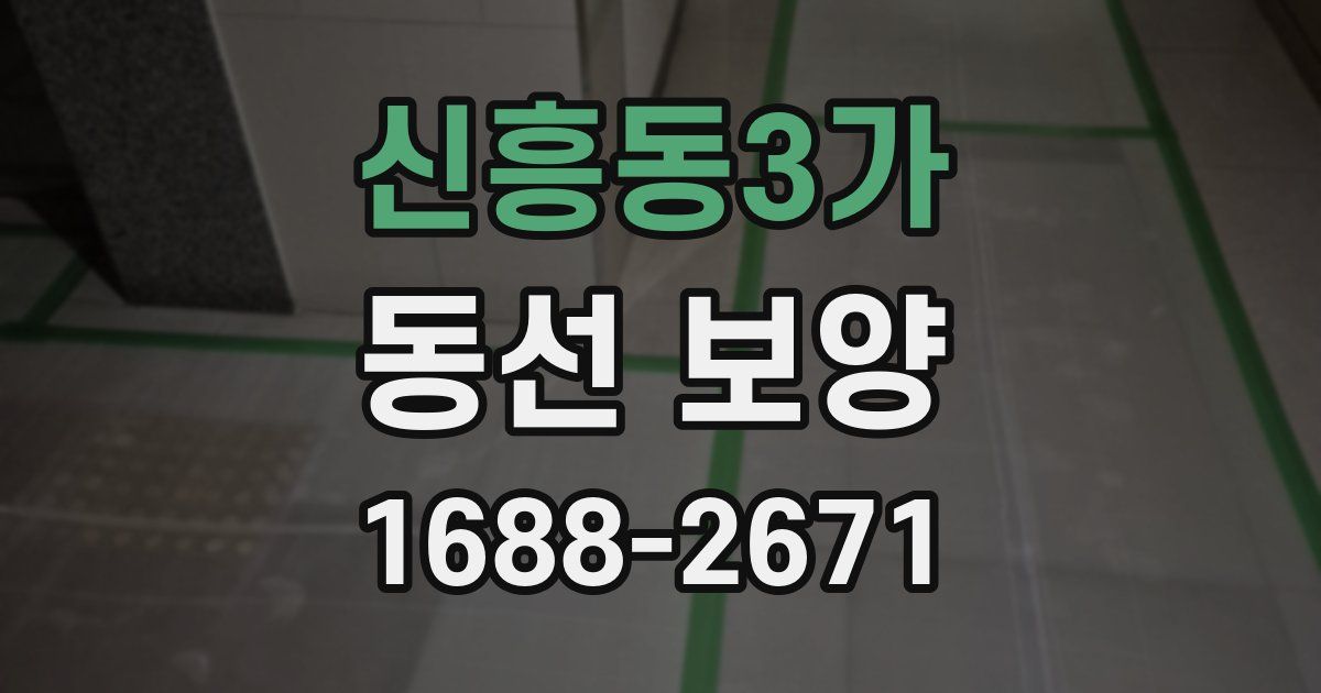 신흥동3가 동선 보양