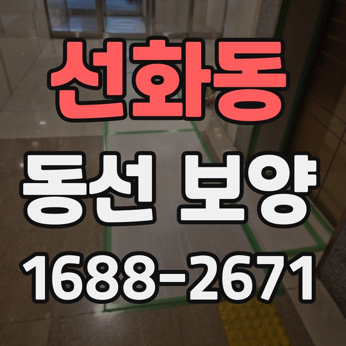 선화동 동선 보양 과정별 역할과 확인 포인트