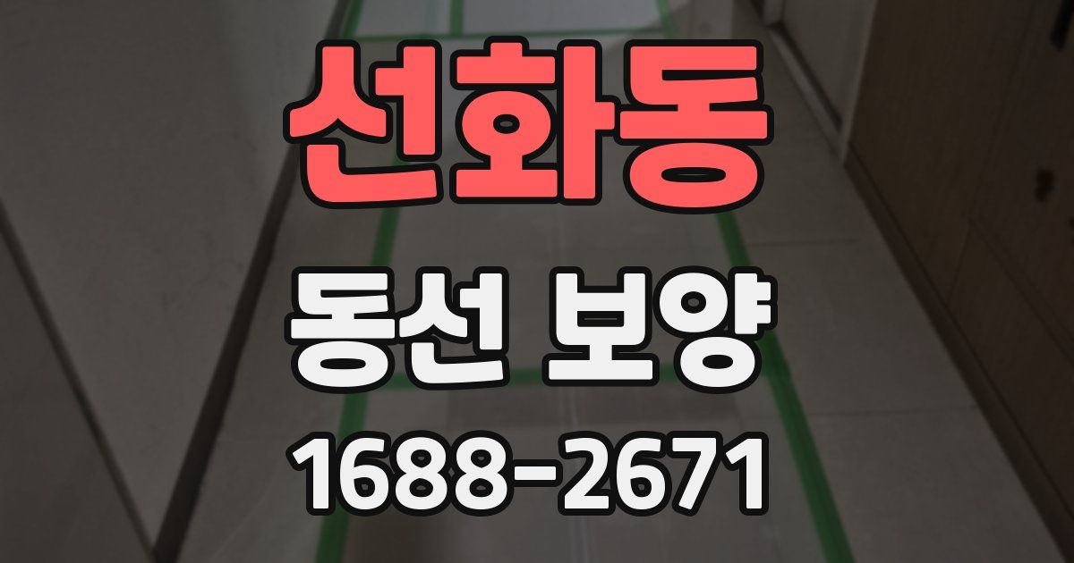 선화동 동선 보양