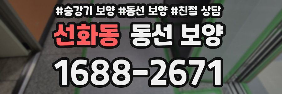 선화동 동선 보양