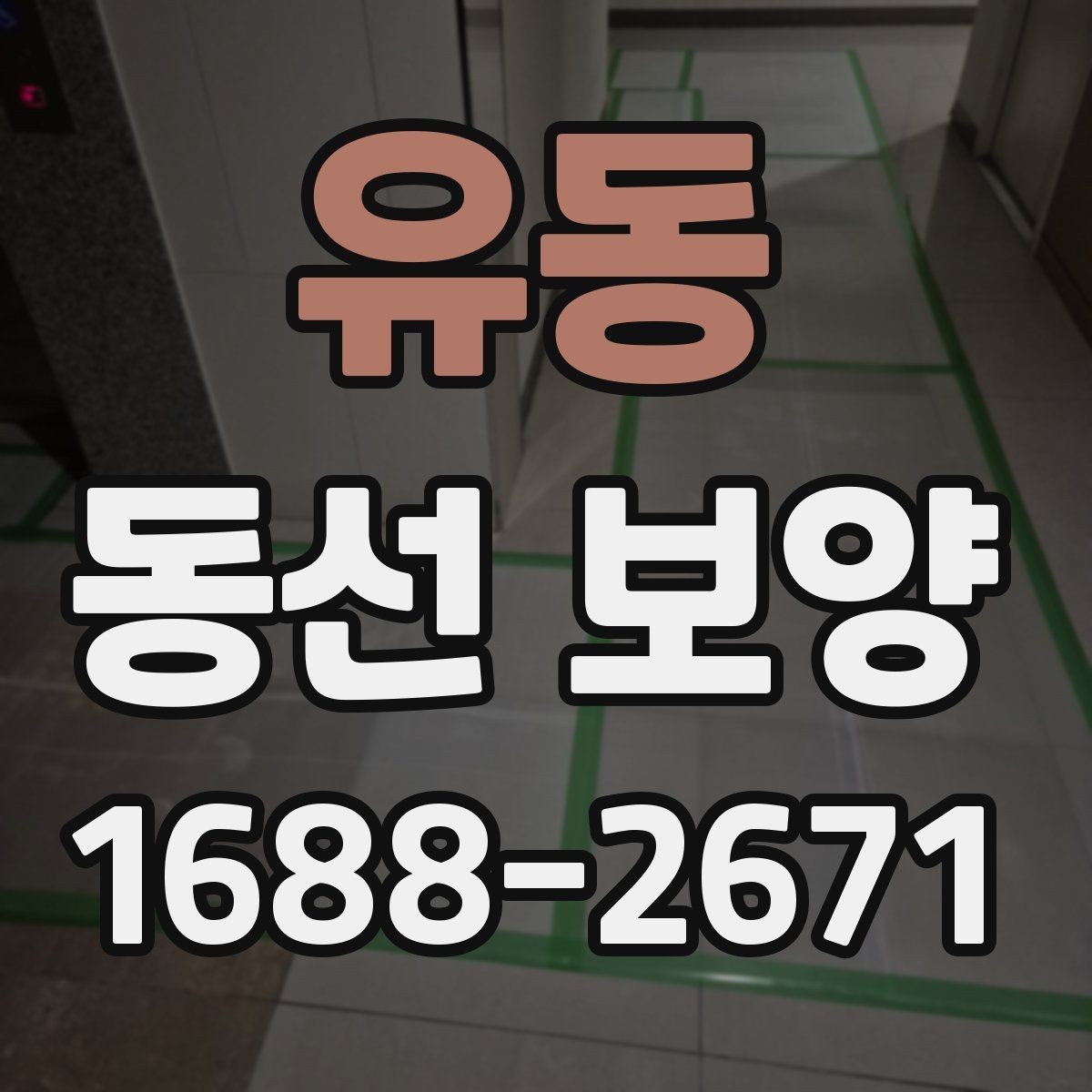 유동 동선 보양 실무에서 자주 확인하는 기준