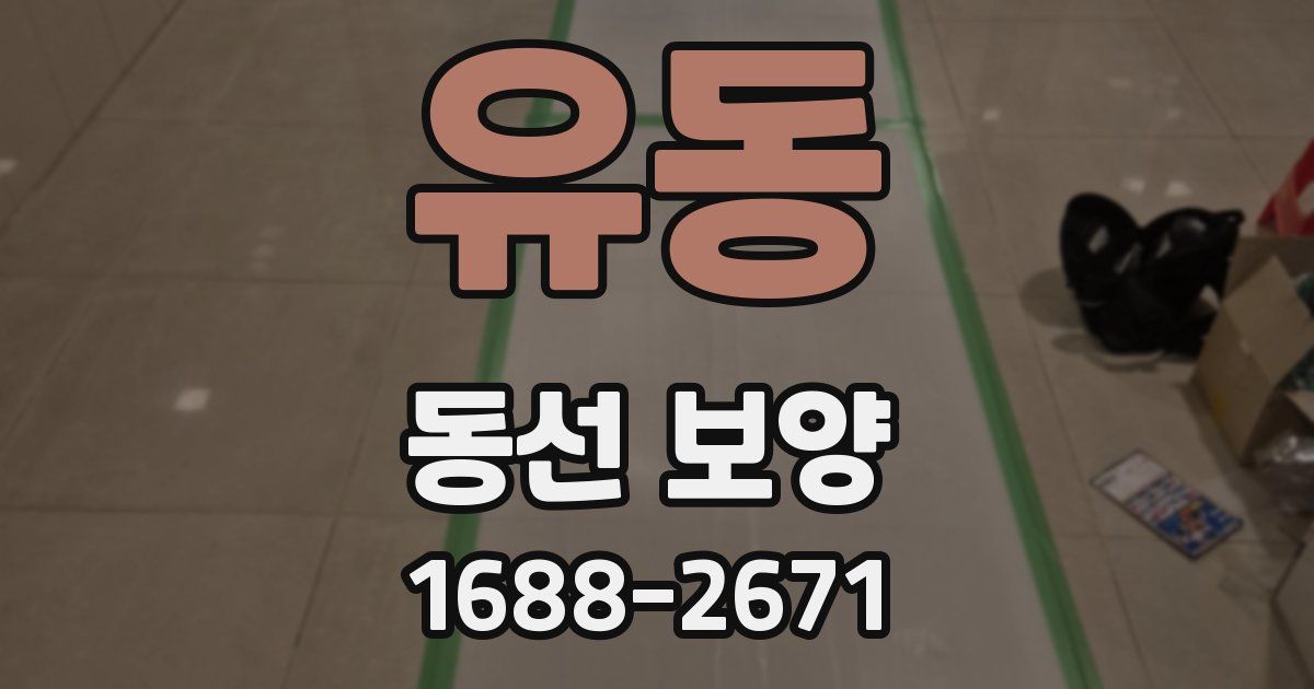 유동 동선 보양
