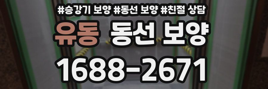 유동 동선 보양