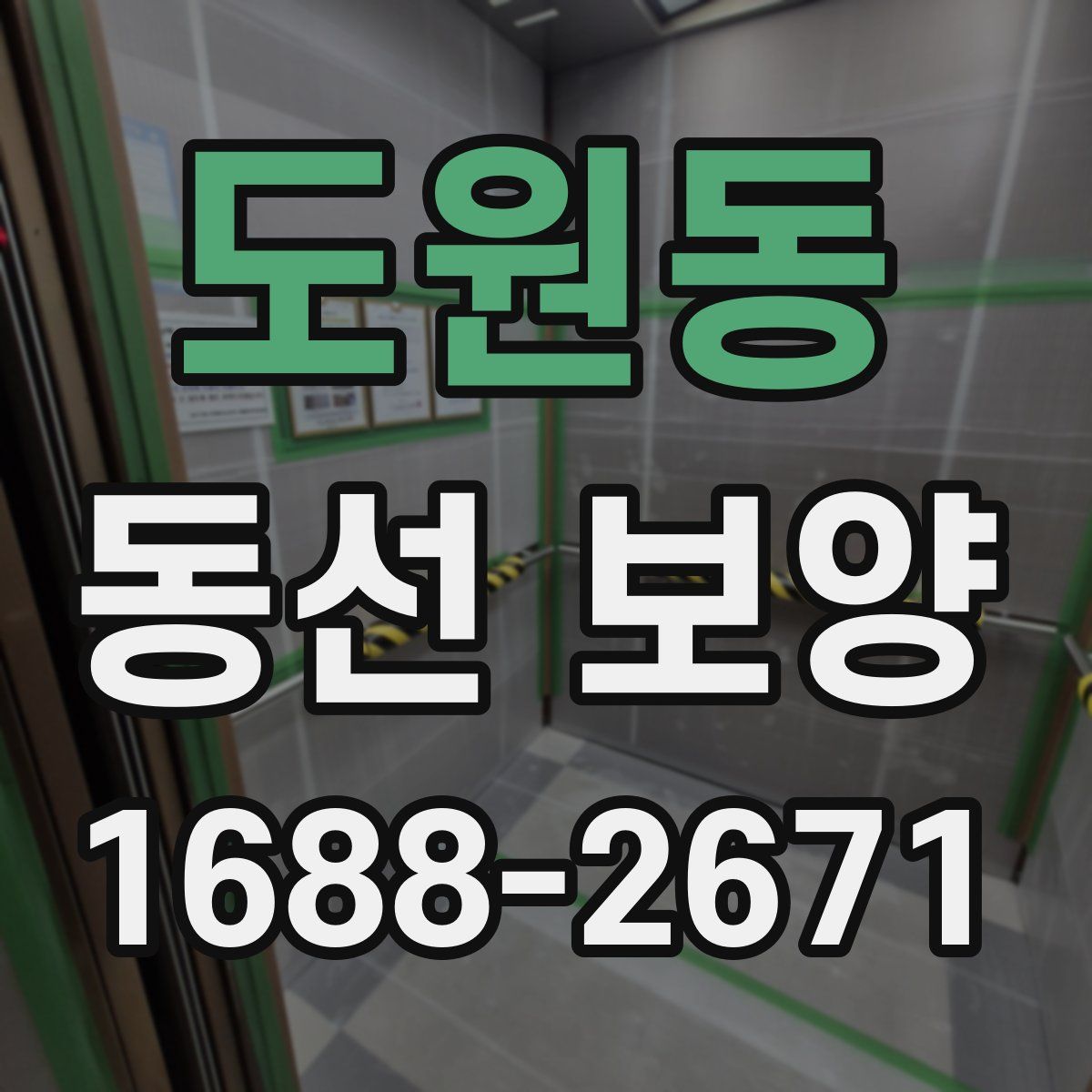 도원동 동선 보양