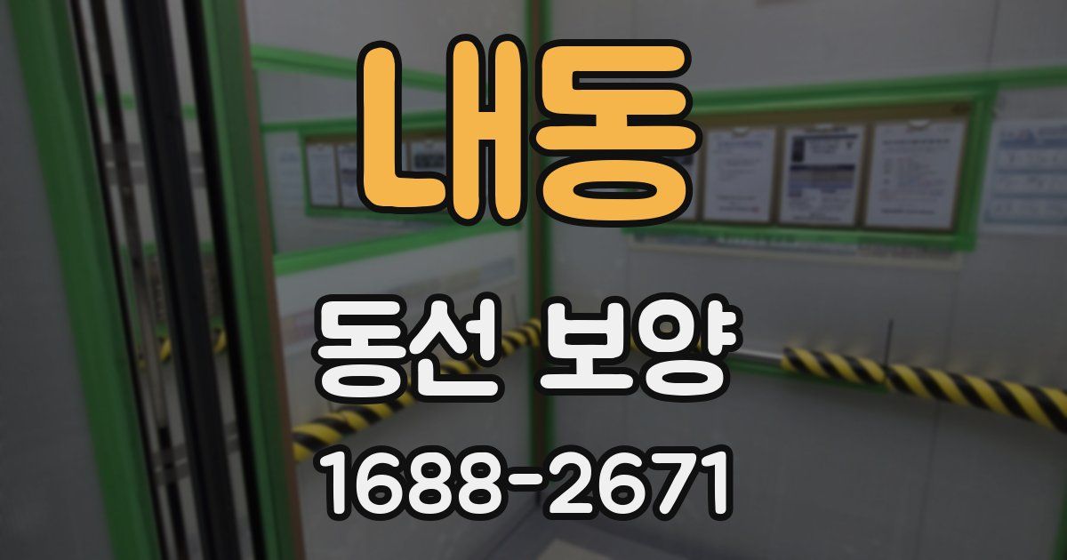 내동 동선 보양