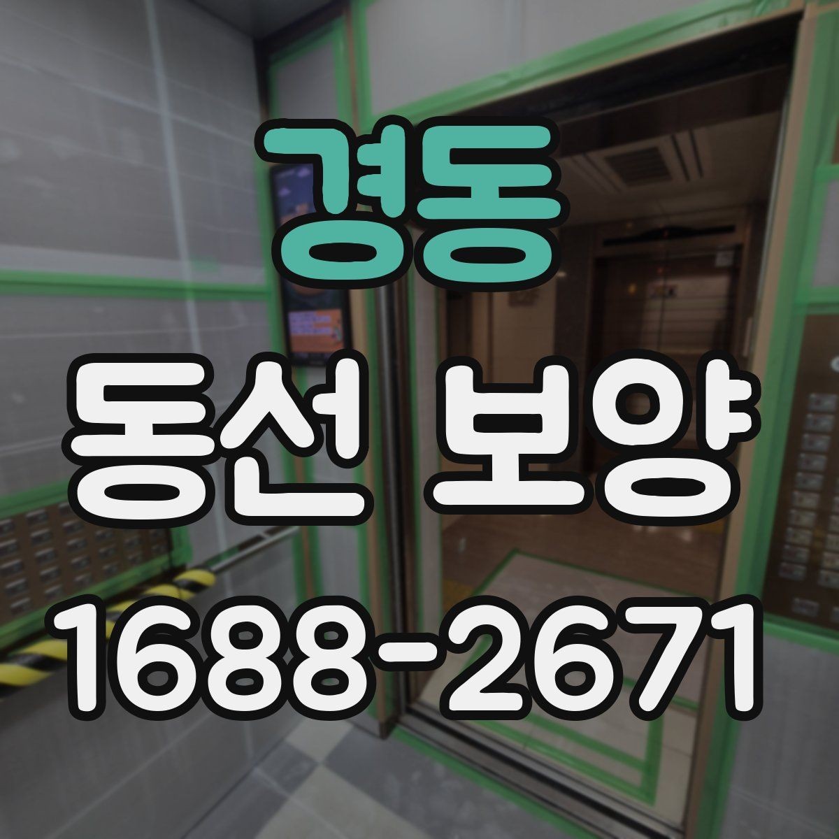 경동 동선 보양 비용은 무엇에 따라 달라질까