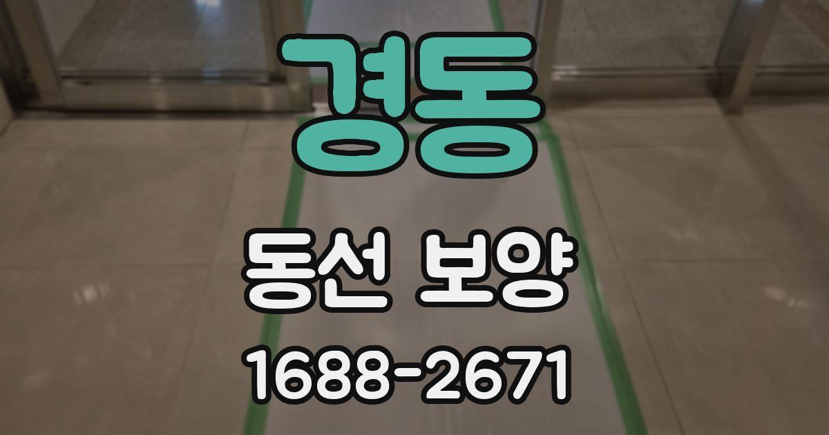 경동 동선 보양