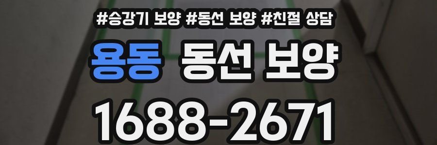 용동 동선 보양