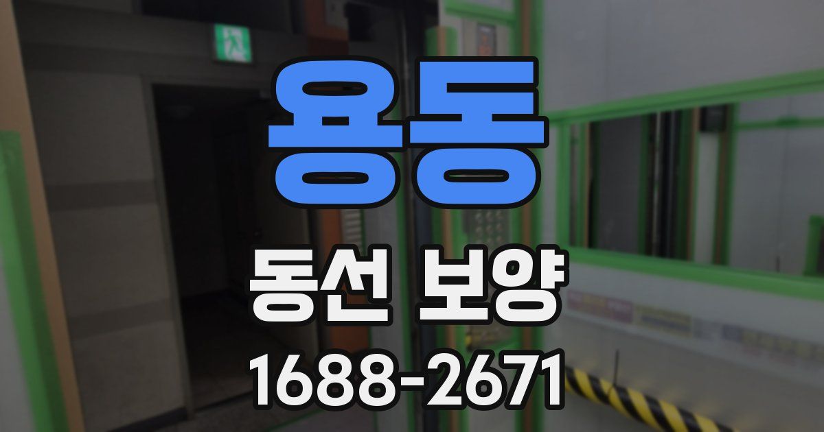 용동 동선 보양