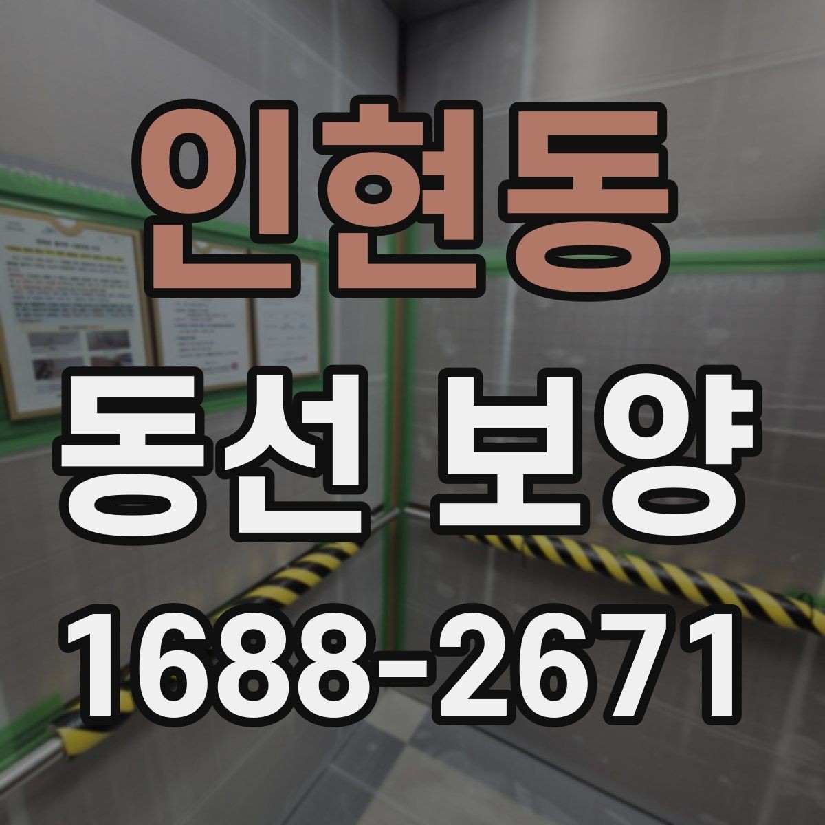 인현동 동선 보양 작업의 핵심은 어디에 있을까