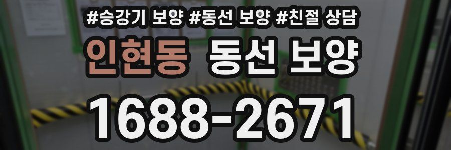 인현동 동선 보양