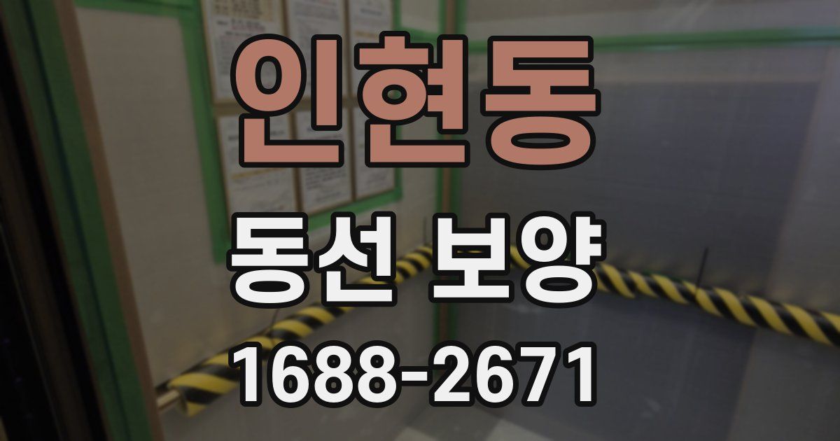 인현동 동선 보양