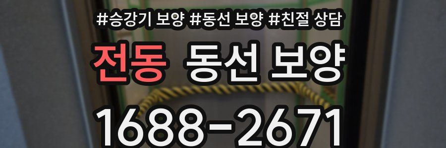 전동 동선 보양