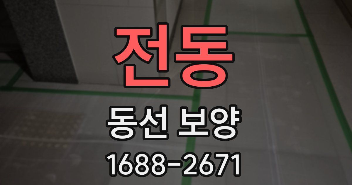 전동 동선 보양