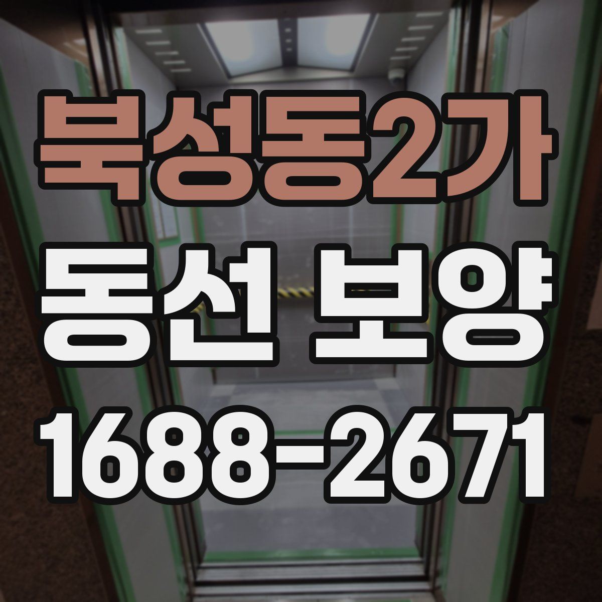 북성동2가 동선 보양