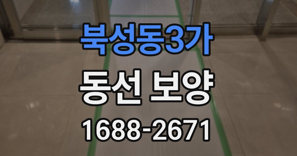 북성동3가 동선 보양