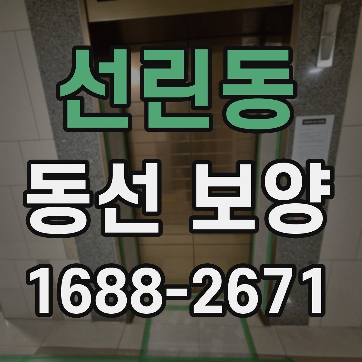 선린동 동선 보양 작업 전후 비교로 보는 변화