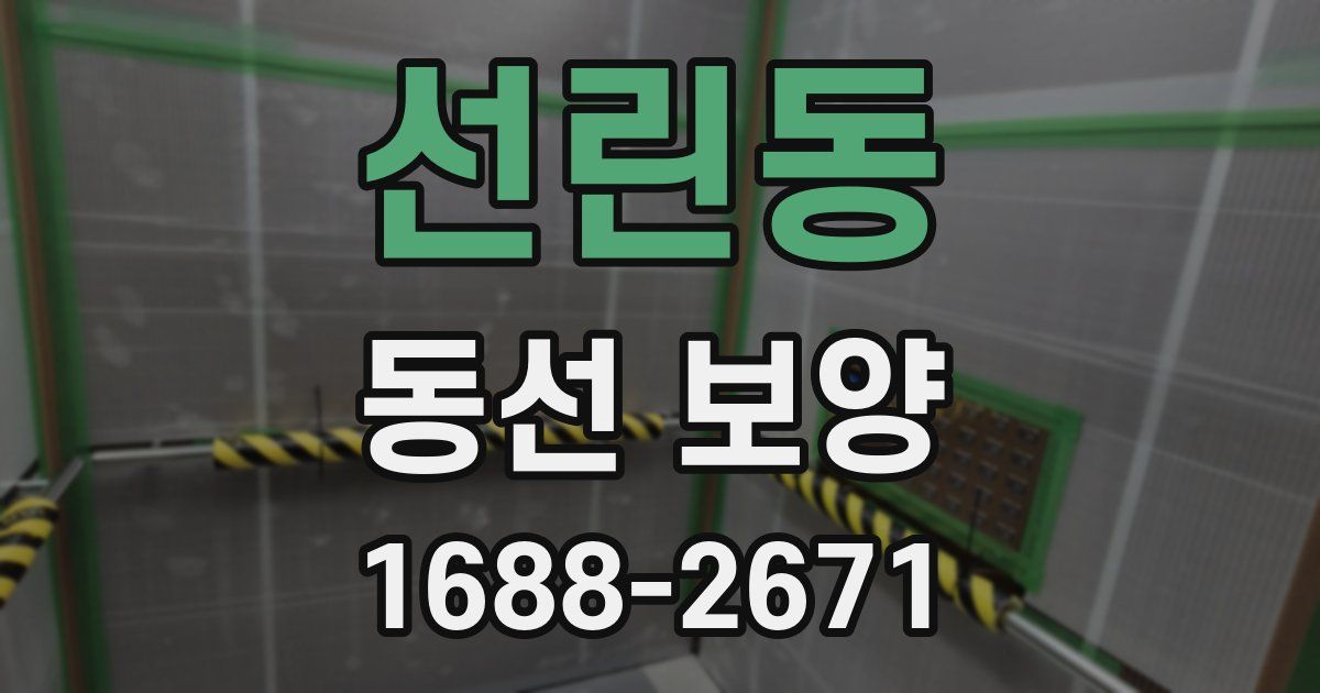 선린동 동선 보양