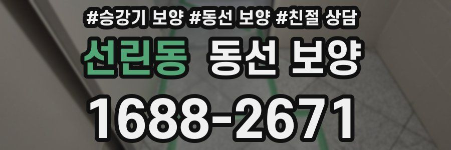 선린동 동선 보양