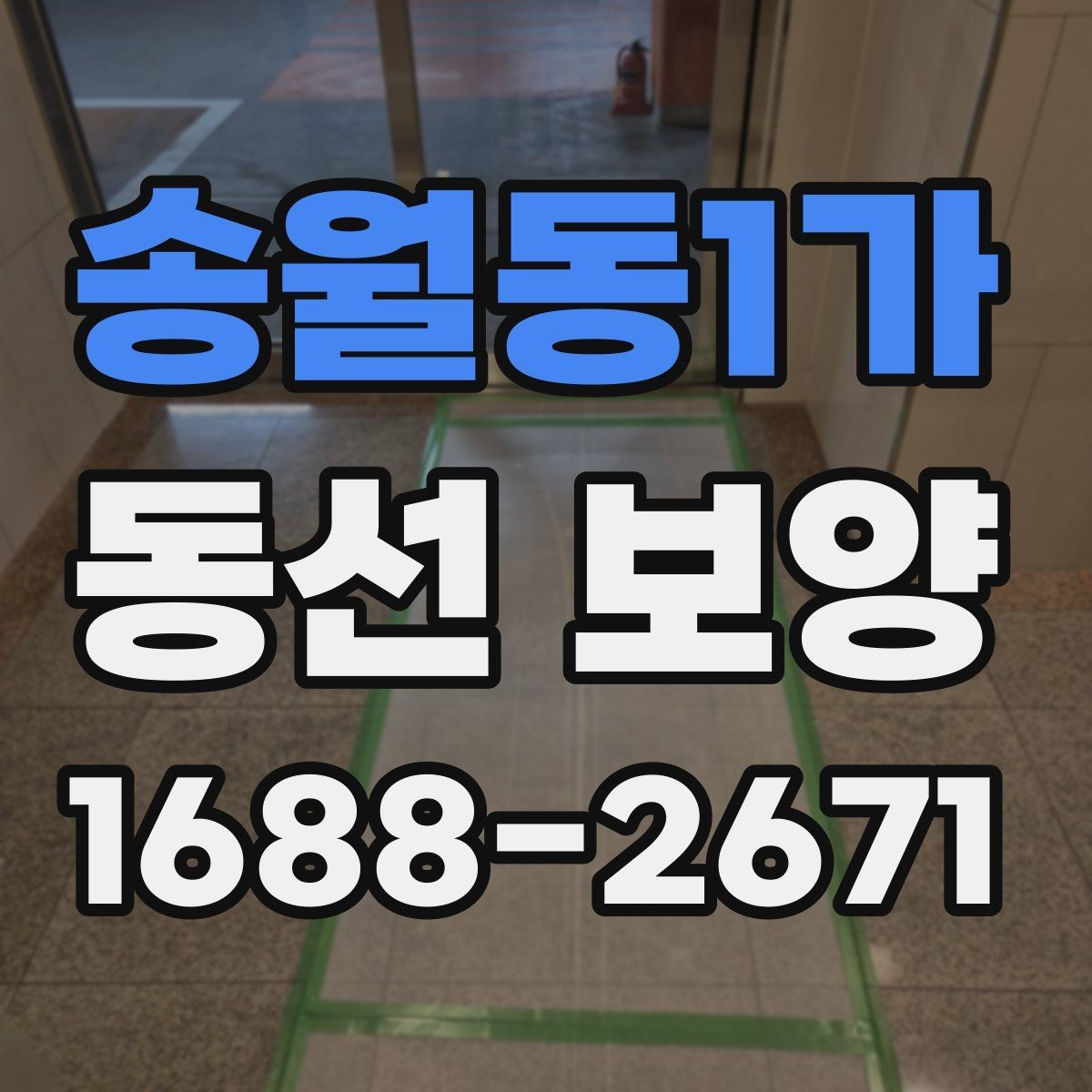 송월동1가 동선 보양 현장에서 주의할 점 모음