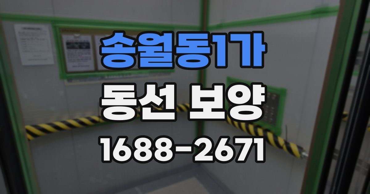 송월동1가 동선 보양