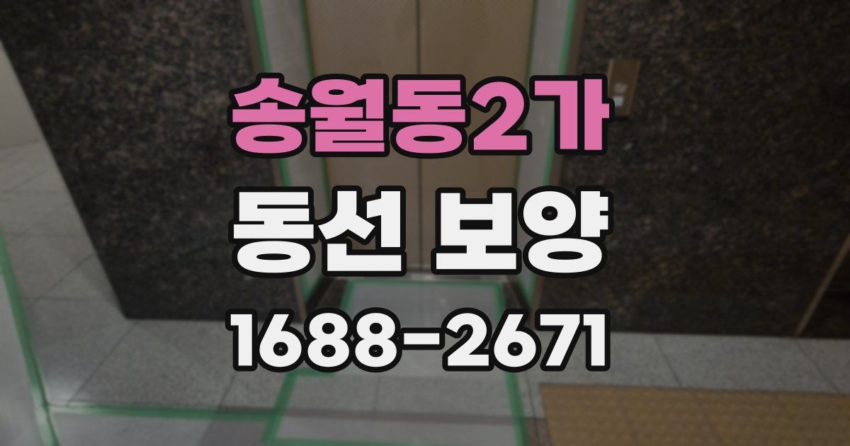 송월동2가 동선 보양