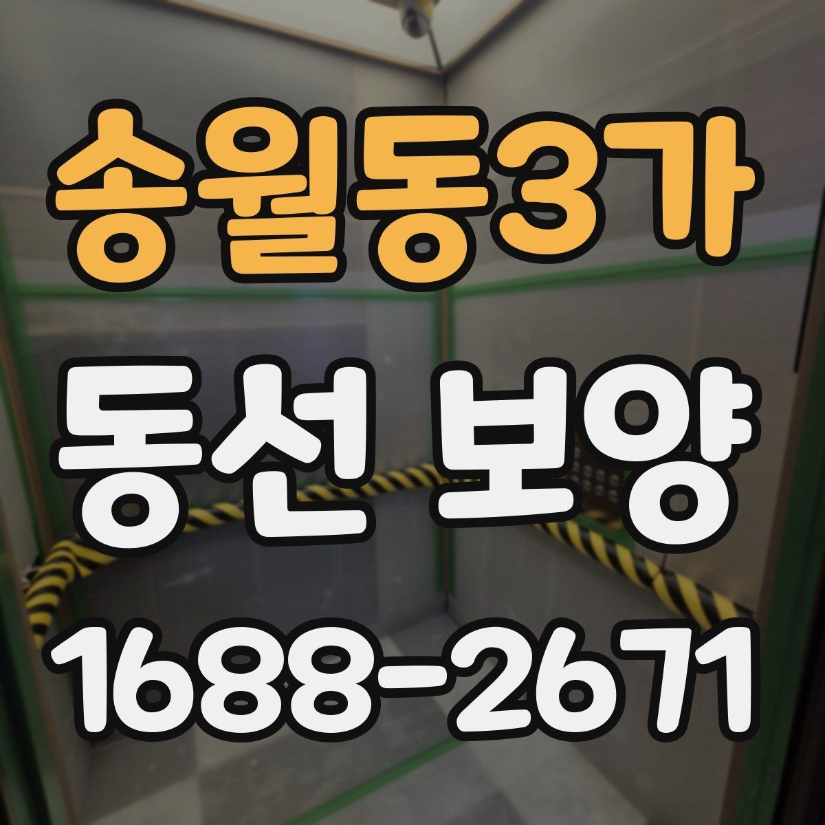 송월동3가 동선 보양 비용 계산 전에 확인할 부분
