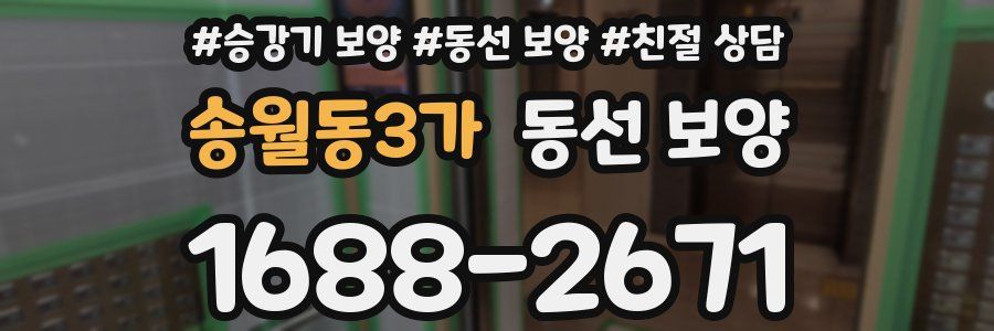 송월동3가 동선 보양