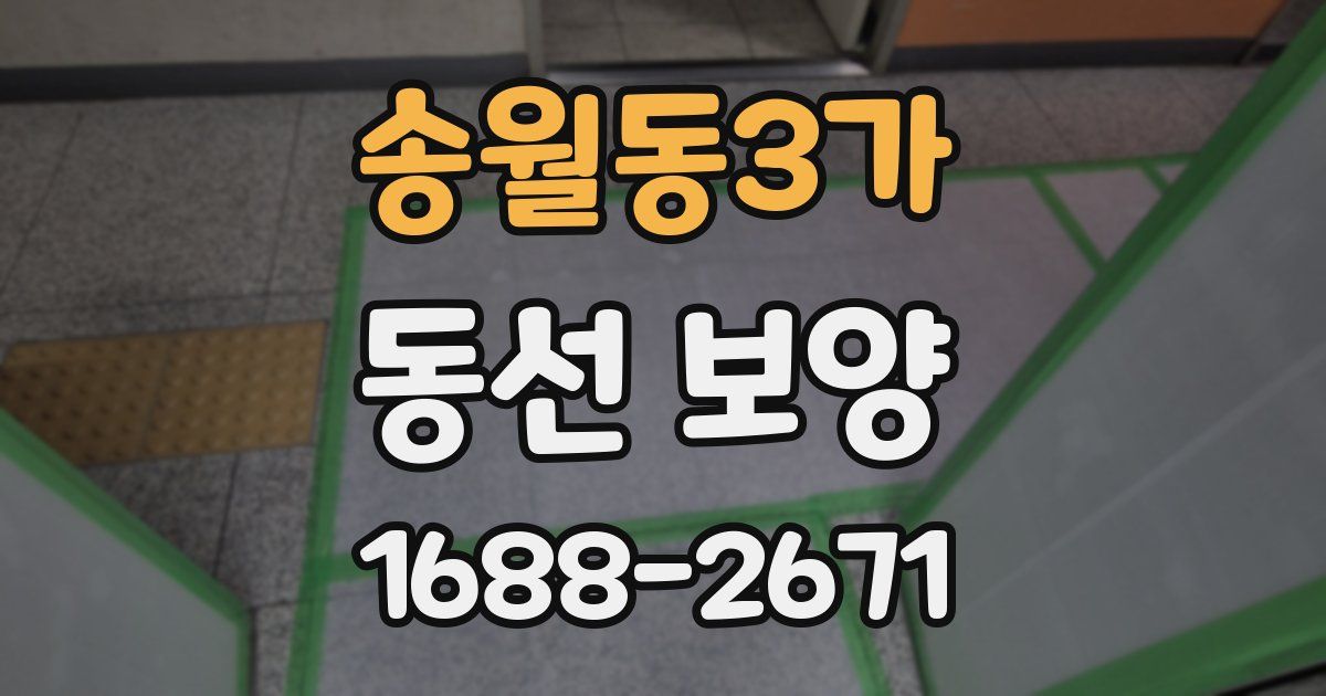 송월동3가 동선 보양